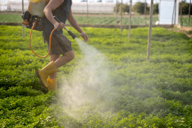 Best Pest Inspection Near Me  in Wilber, NE