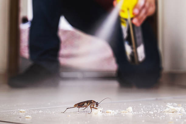 Best Best Pest Control Companies  in Wilber, NE